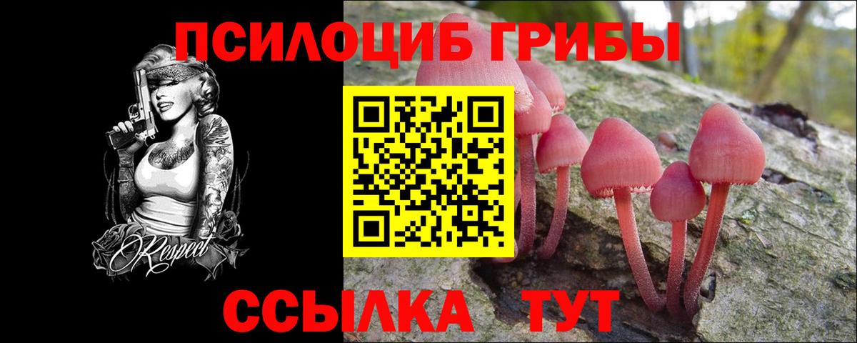 Можга  Галлюциногенные грибы ЛСД  Вход с VPN  Псилоцибиновые грибы мухоморы 