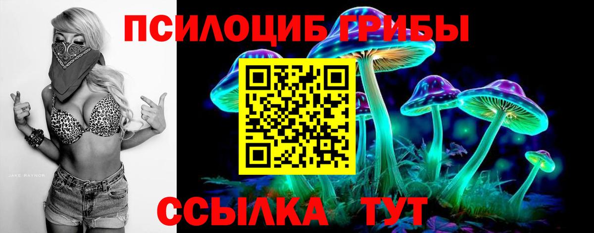 Псилоцибиновые грибы Psilocybine cubensis Можга
